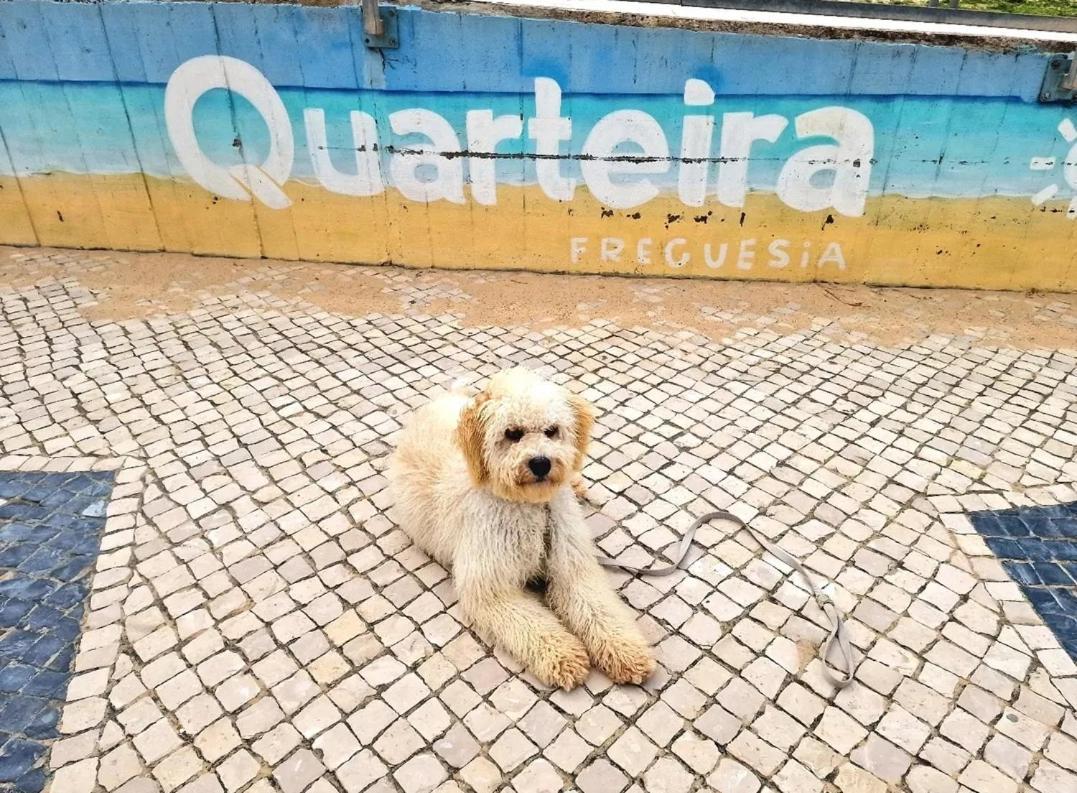 Studio Praia De クアルテイラ エクステリア 写真